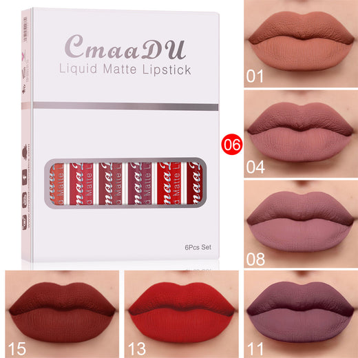 Matte Waterproof Lip Gloss Set